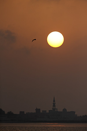 Ras Al Hadd Sunrise