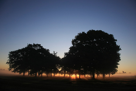 Wanstead Flats