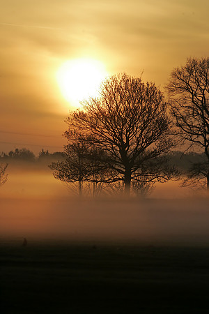 Wanstead Flats Misty Sunrise