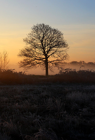 Wanstead Flats, Sunrise