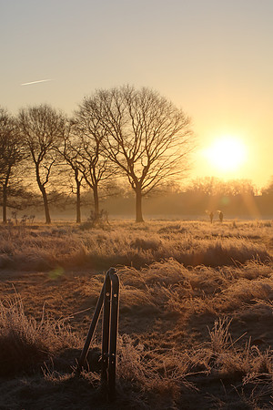 Wanstead Flats