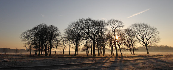 Wanstead Flats