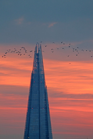 Shard Sunset