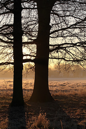 Wanstead Flats