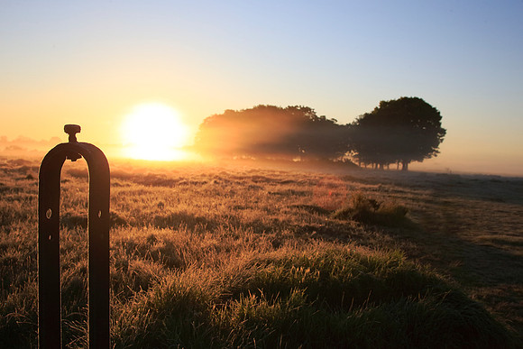 Wanstead Flats