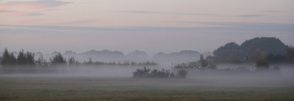 Misty morning on Wanstead Flats