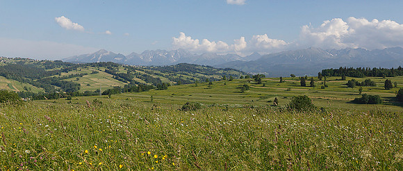 Polish Carpathia