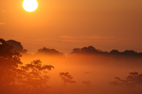 Wanstead Sunrise