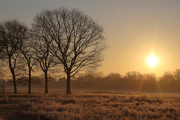 Wanstead Flats