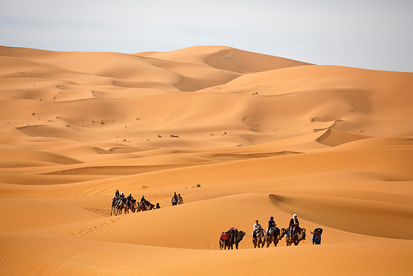 Erg Chebbi Camel Riders