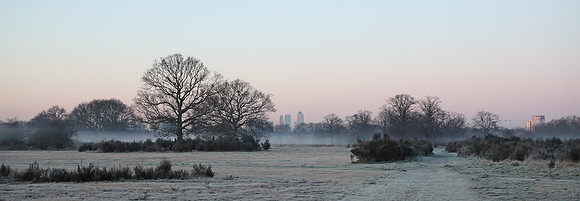 Wanstead Flats at dawn